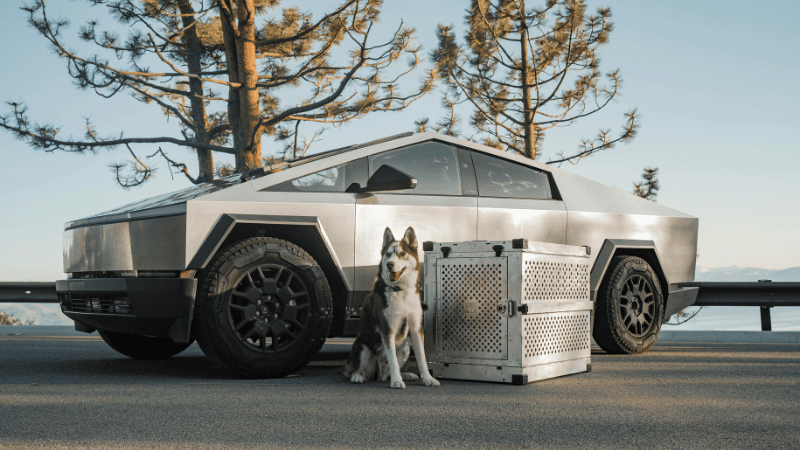 A Cybertruck and a dog