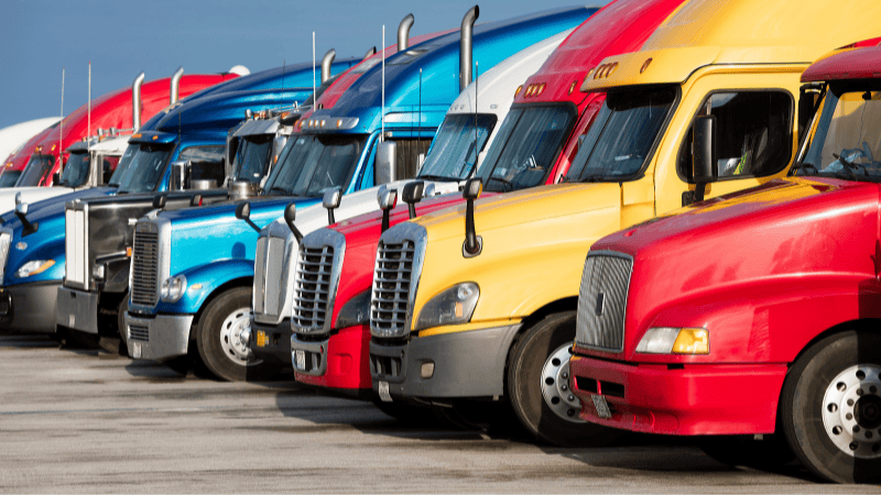 Fleet vehicles with window tint films