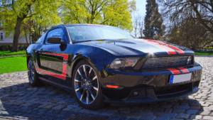 Mustang Wrap