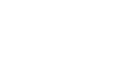 CARLIKE FILM